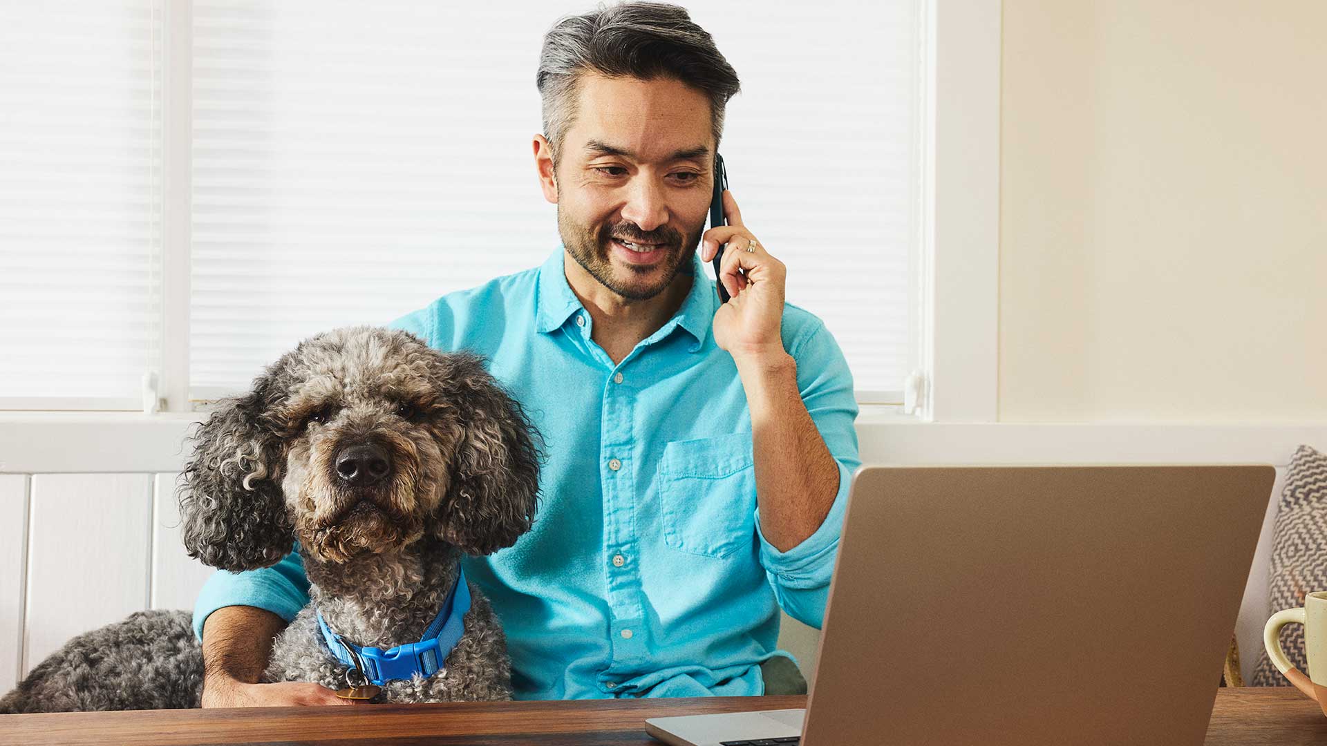 Man in blue shirt on phone at laptop with curly gray dog wearing blue collar
