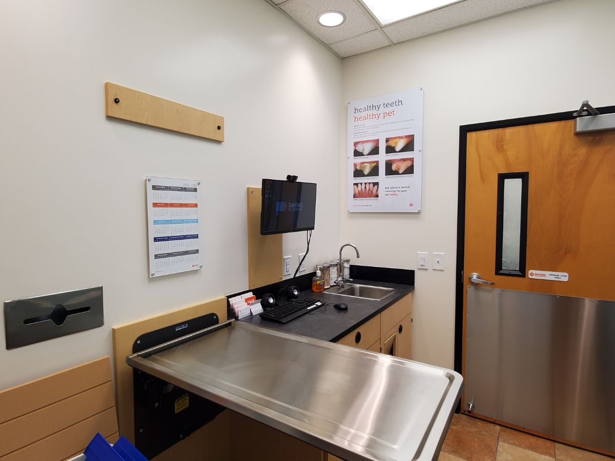 A view of the Banfield - Hyde Park hospital exam room and folding table