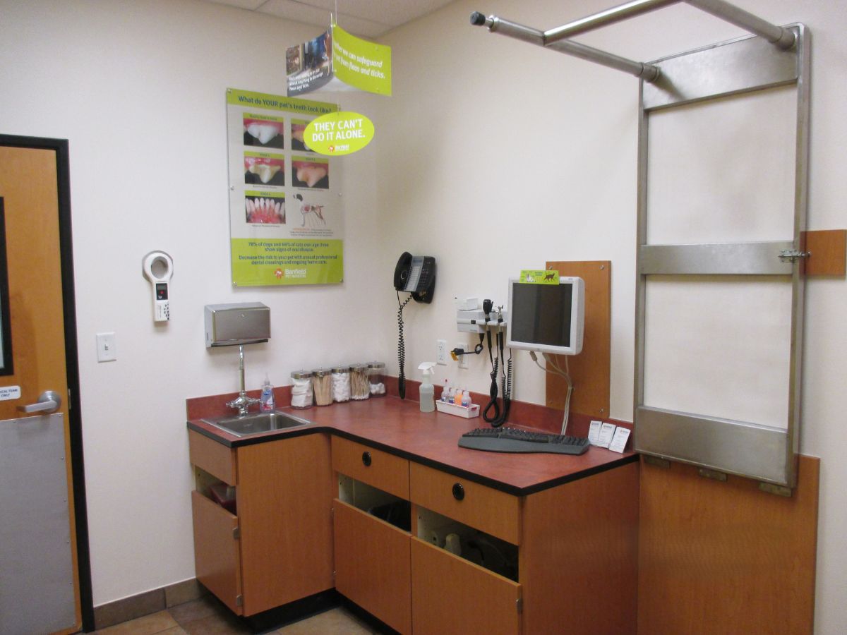 A view inside a Banfield - Mason exam room and folding table