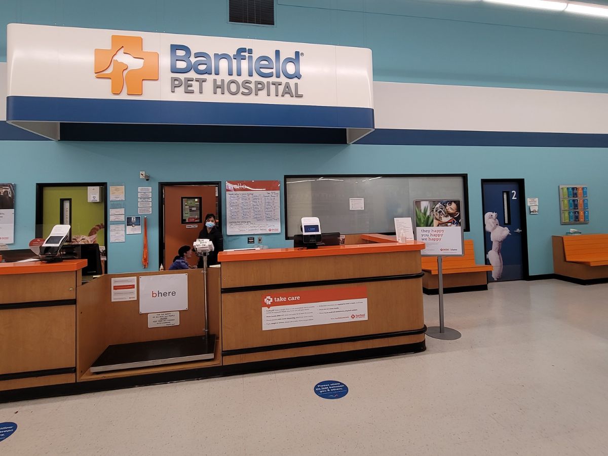 The Bend Banfield check-in area inside PetSmart
