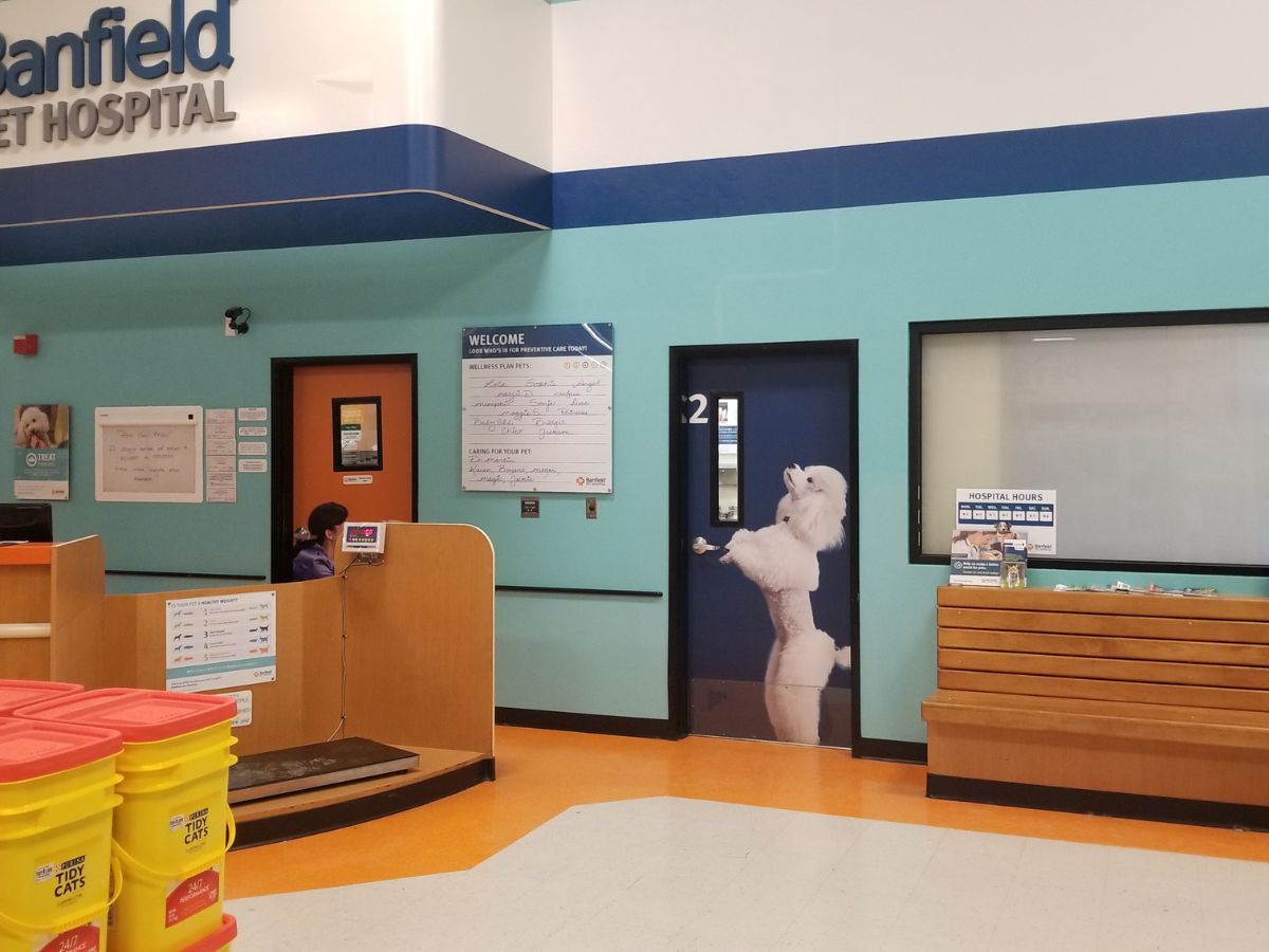 The Hillsboro Banfield front desk and check-in area