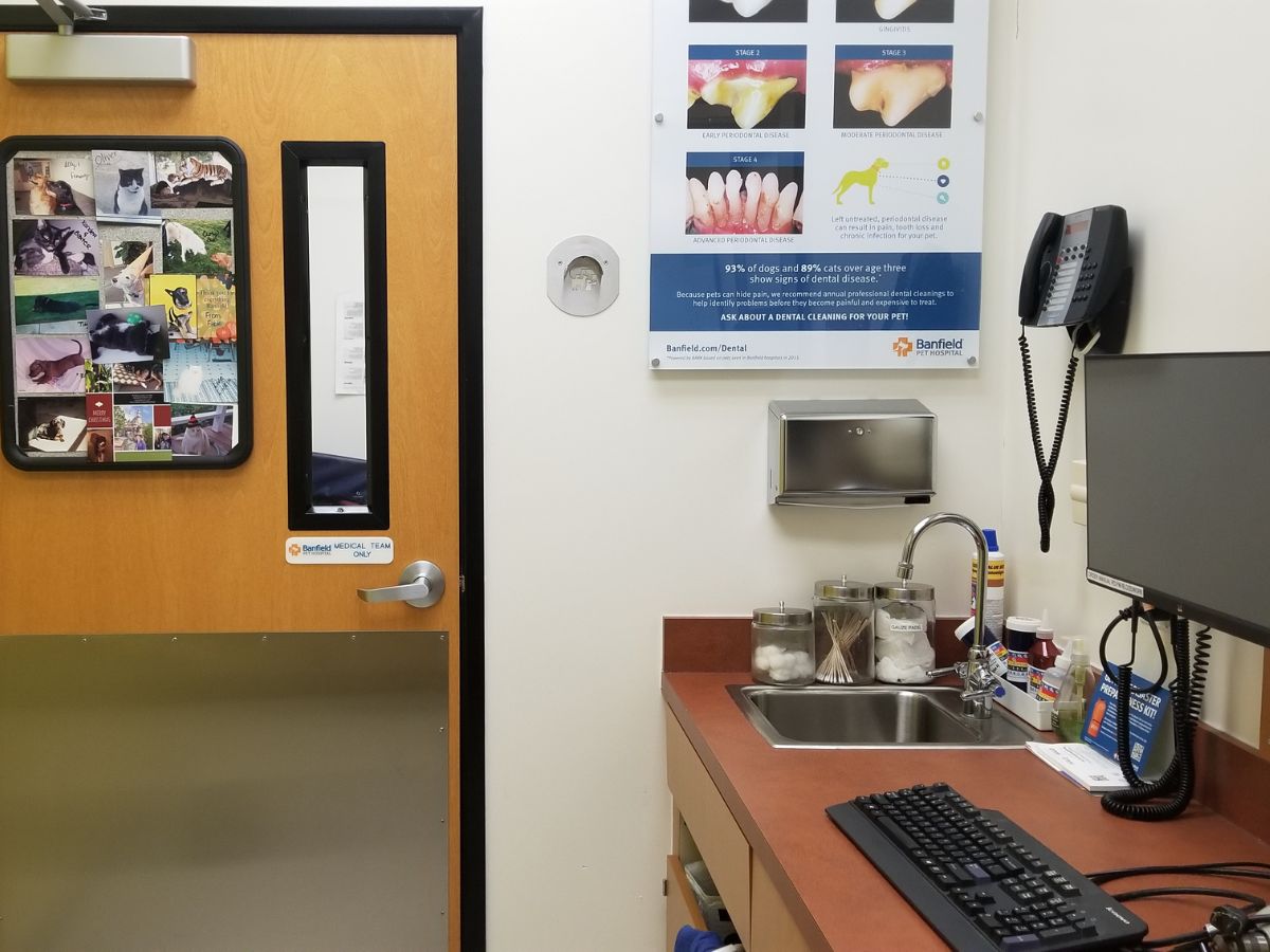 A view inside a Hillsboro Banfield exam room