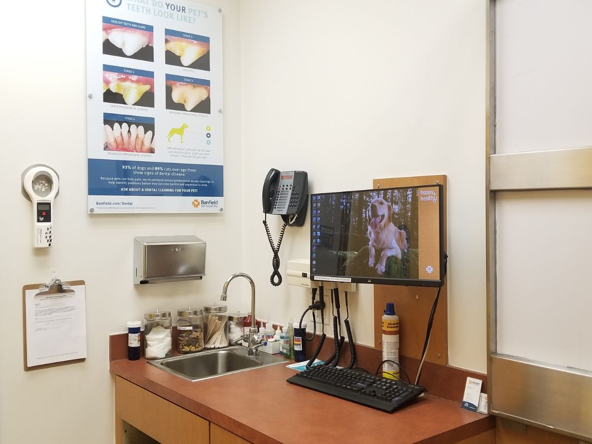 An alternate view of the Hillsboro Banfield exam room and folding table