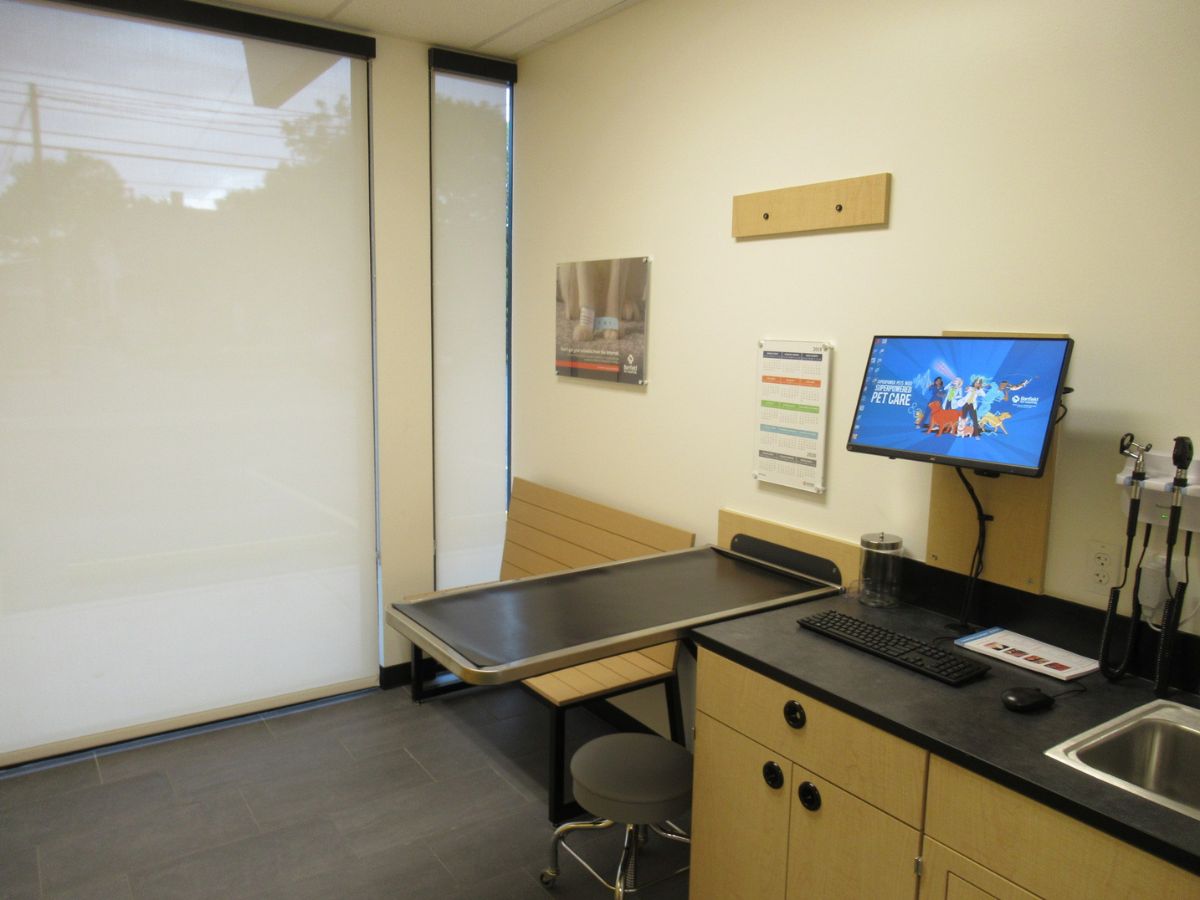 Another view of a Banfield - Sellwood-Moreland exam room with folding table