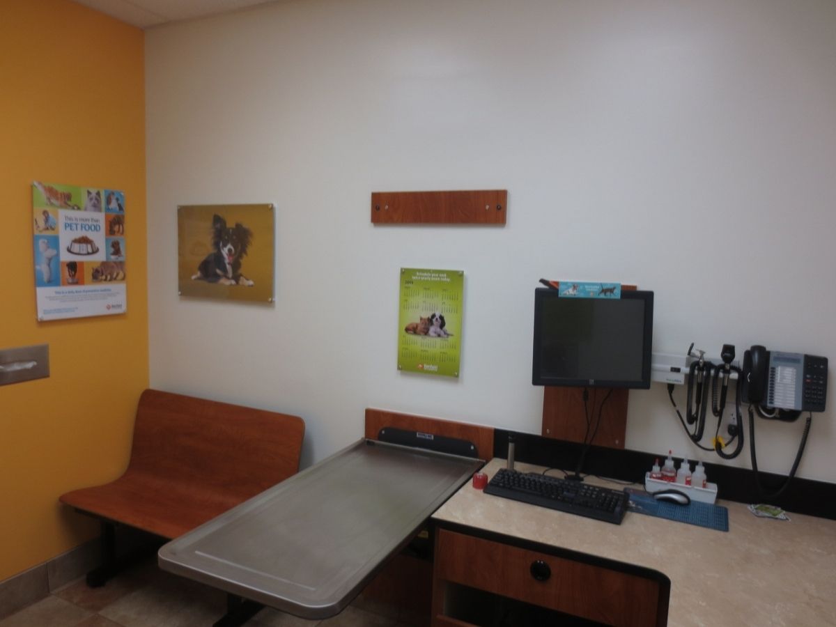 A view of a Banfield - Mechanicsburg hospital exam room and folding table