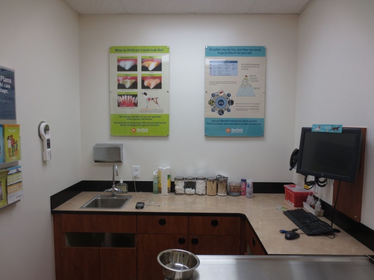 An alternate view of a Mechanicsburg Banfield hospital exam room
