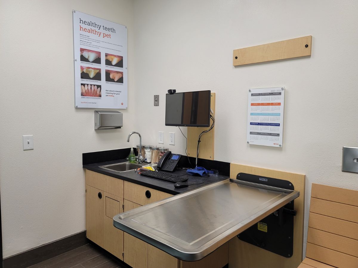 The inside view of a Banfield - Christiana hospital exam room