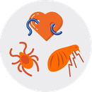 Illustrated icon of heartworms, fleas, and ticks