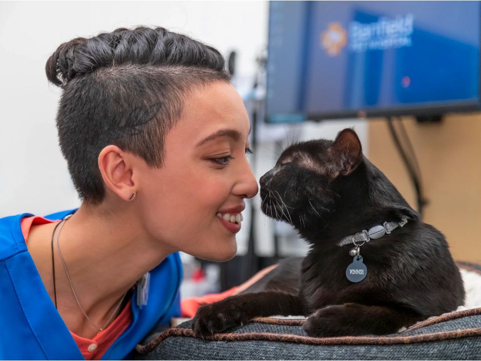 Doctor smiling at black cat