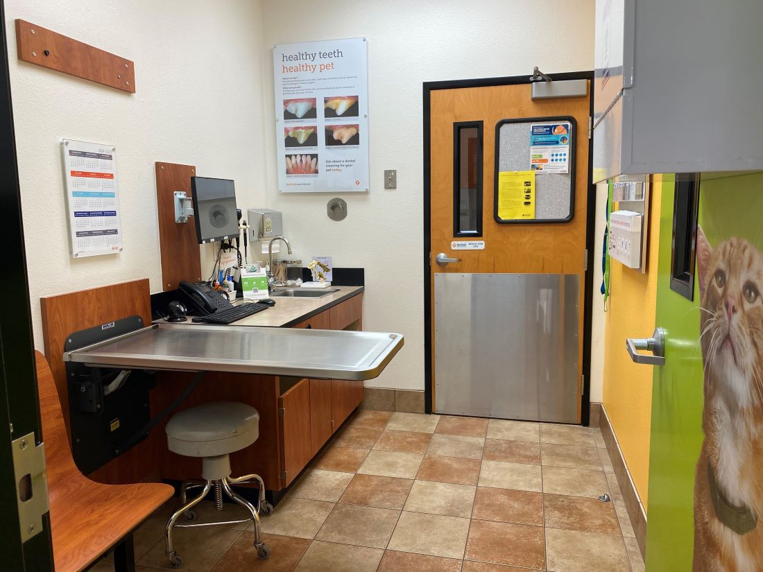 Inside of a Banfield Oak View hospital exam room