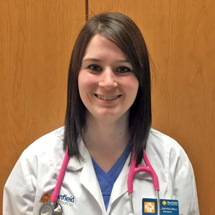 Profile picture of Jean Puccinelli, DVM, Veterinarian