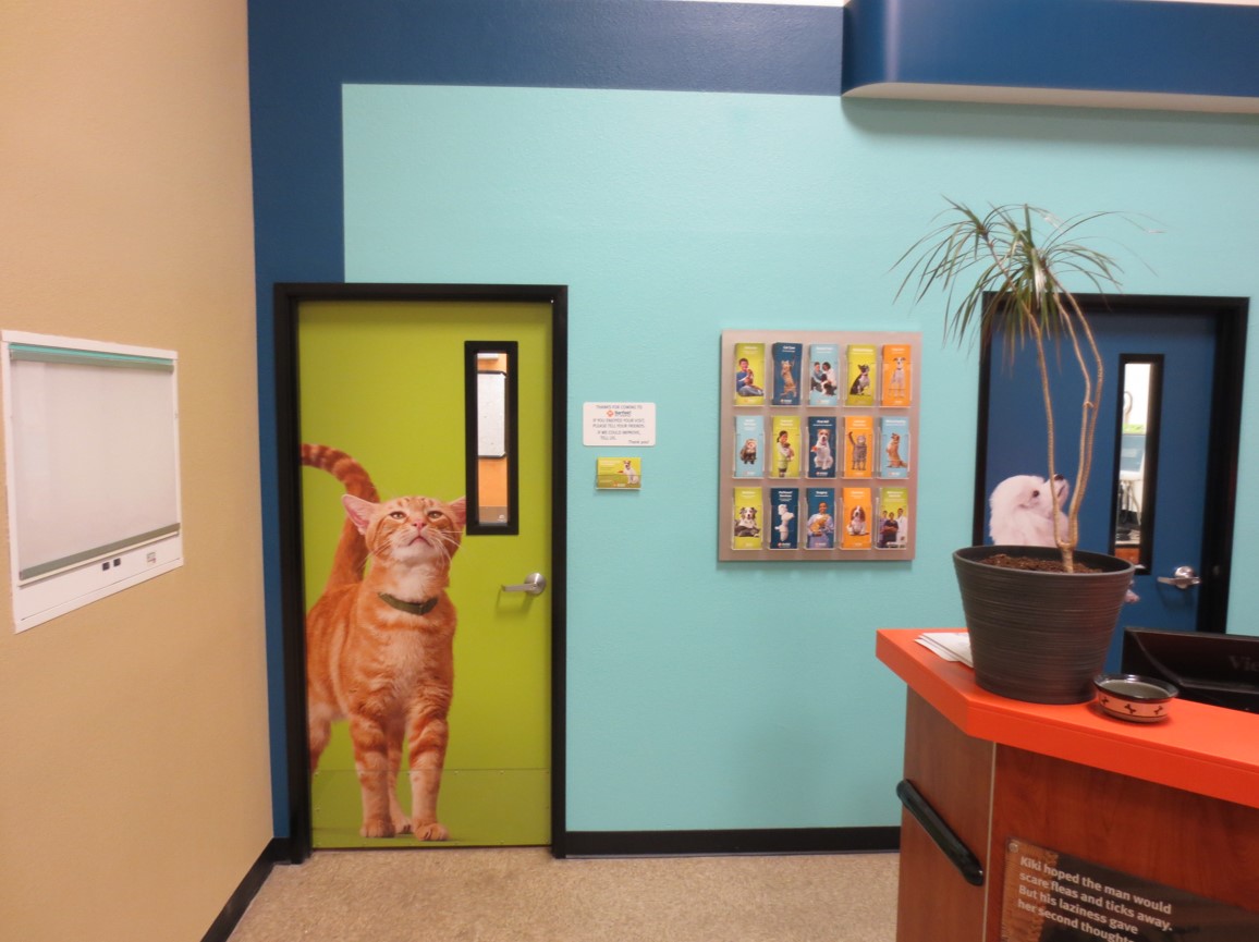 View of the Mesa N exam room