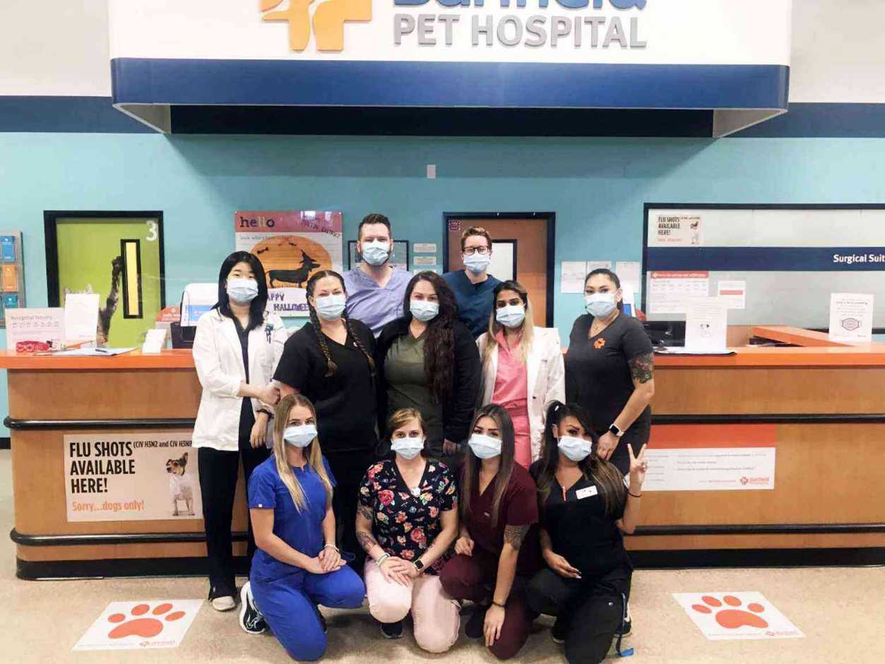 A group of Banfield Associates at the Banfield Pet Hospital