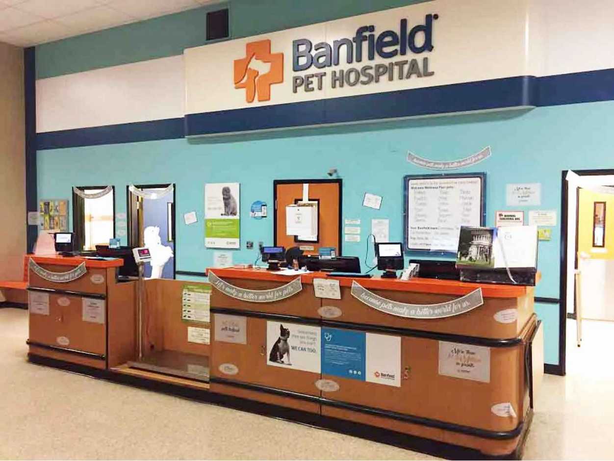 The front desk at the Banfield Pet Hospital