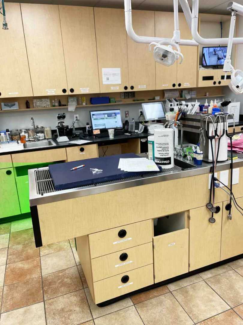 The pet examination room at the Banfield Pet Hospital