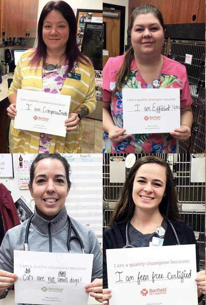 A collage of Banfield Associates holding placards