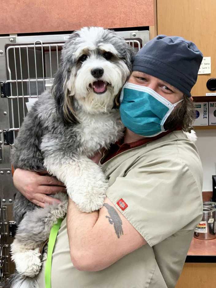 A male veterinarian holding a dog at the Banfield Pet Hospital