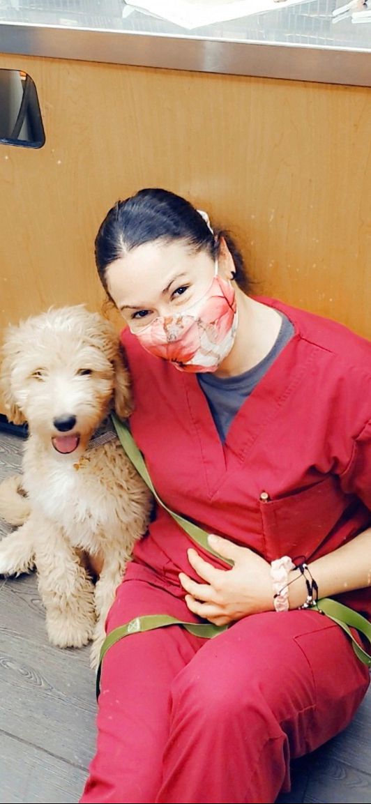 A young female associate sitting next to a dog at the Banfield Pet Hospital