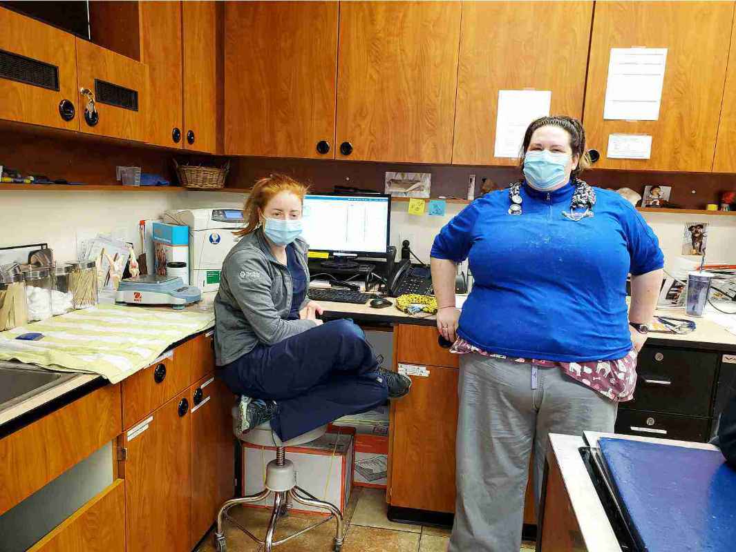 A couple of associates at the Banfield Pet Hospital