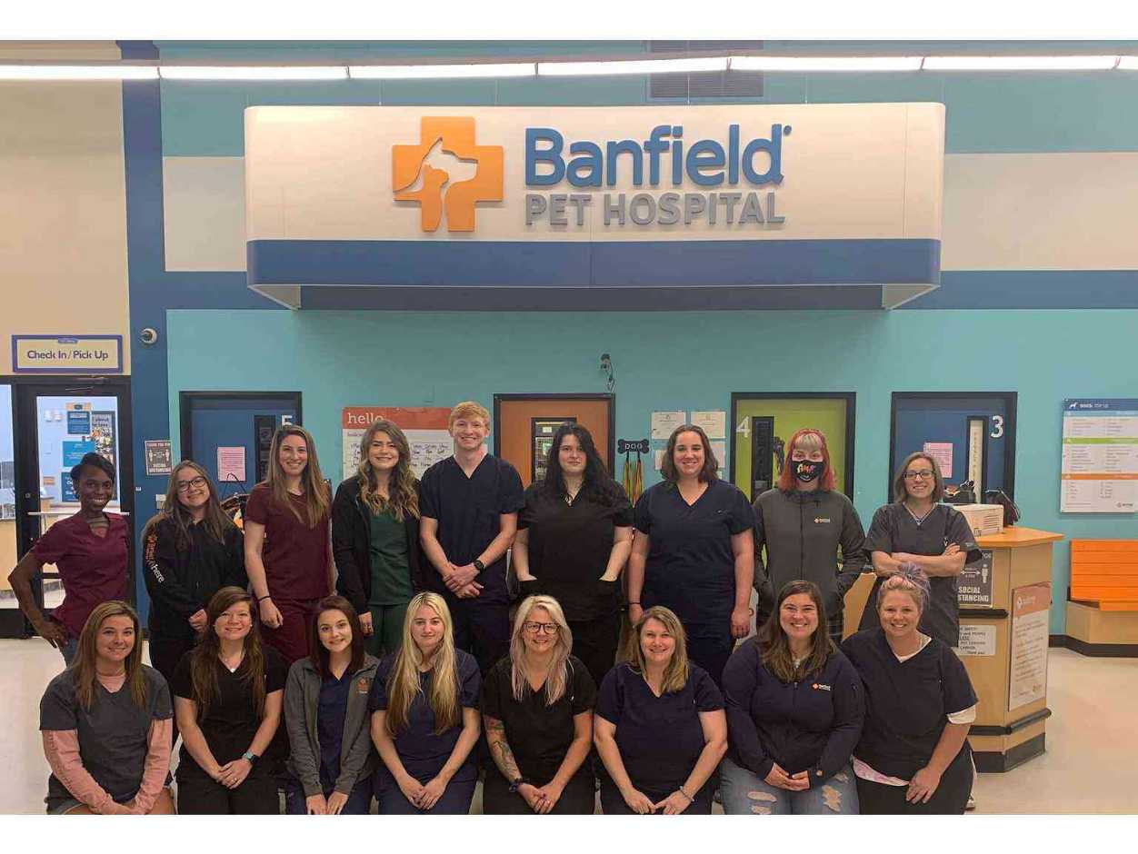 The Summerville team