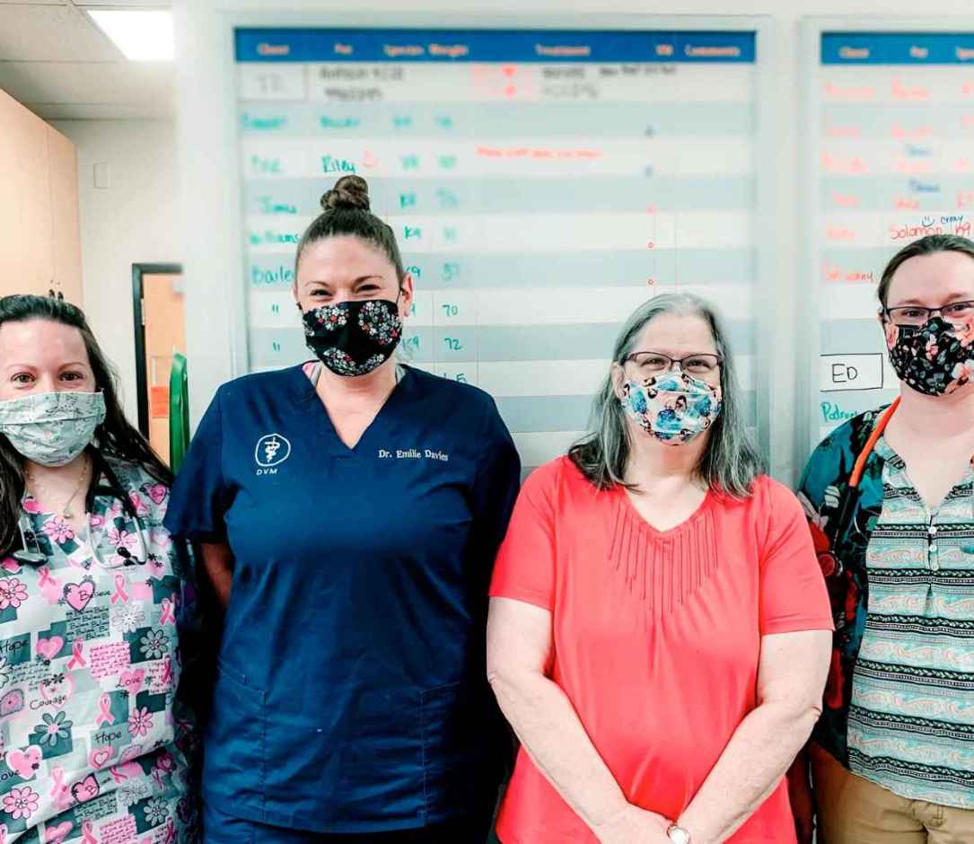 A group of associates at the Banfield Pet Hospital
